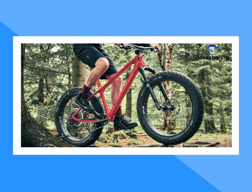 fat bikes electricas